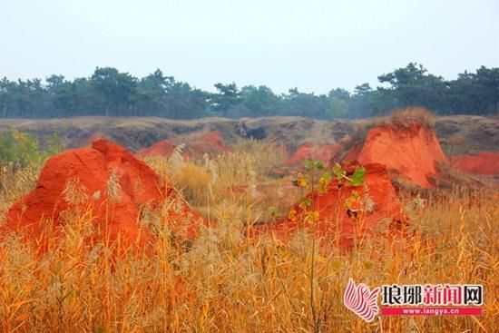 临沂地方人大紧急提案麦坡地震断裂带待保护