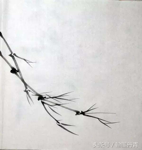 水墨竹画法,这样画竹子的简单多了!