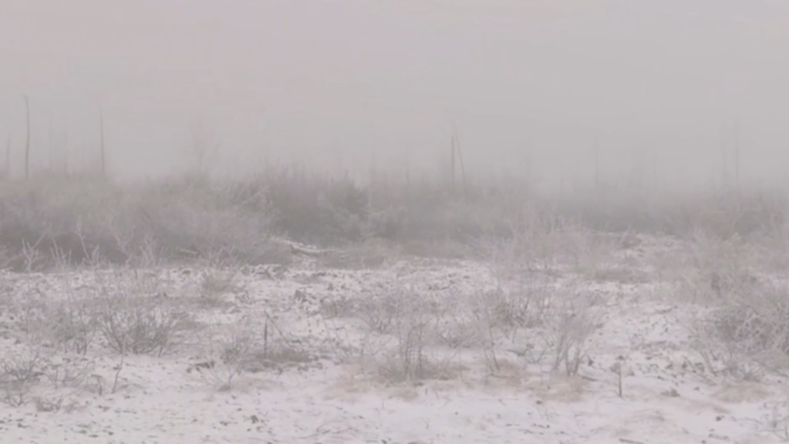 大兴安岭：五月飞雪迎春到 小镇美景入画来