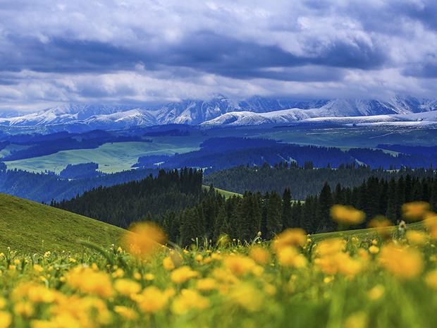 北疆旅游游记:赛里木湖繁星、日出