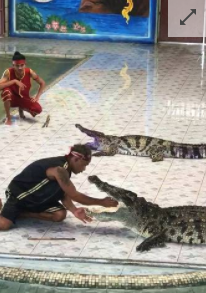 但是图片显示，他的胳膊已经被咬出了血。