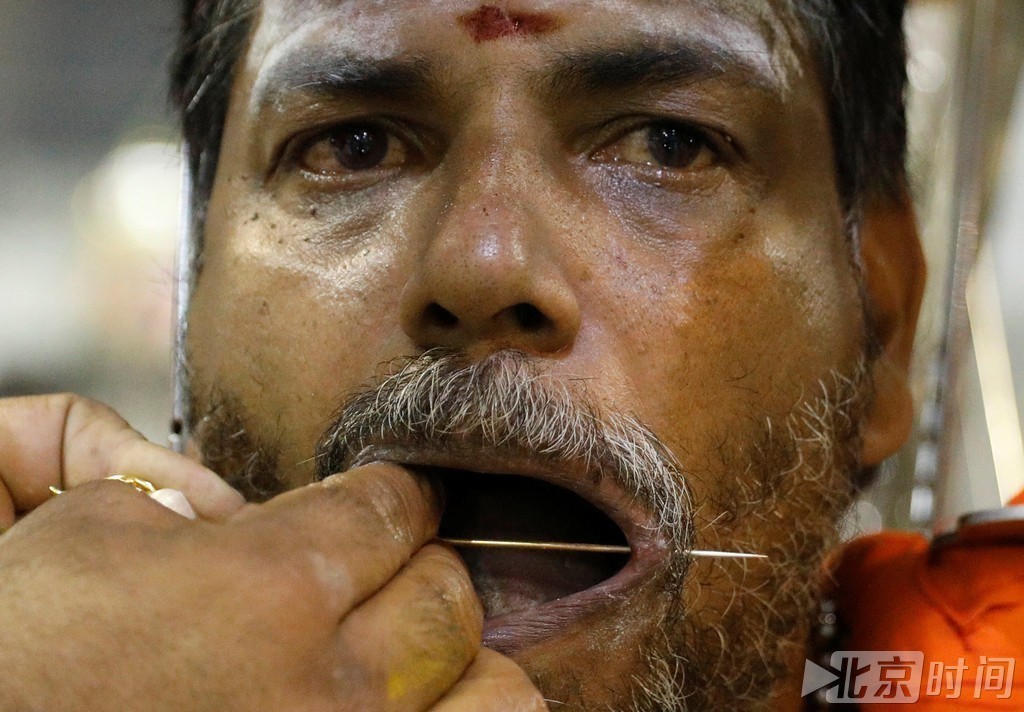 印度教信徒庆祝大宝森节 再现肉体穿刺惊悚场面 印度教信徒庆祝大宝森节 再现肉体穿刺惊悚场面