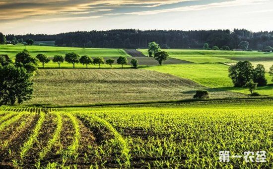 财政部牵头筹建中国农垦产业发展基金 助力乡