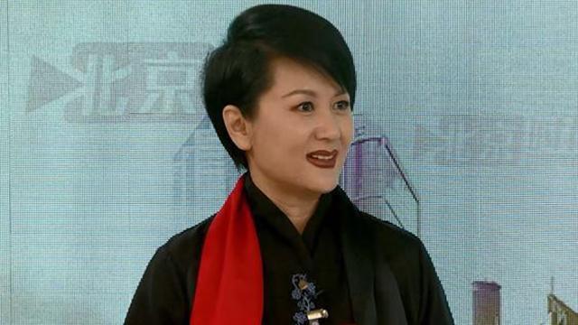 专访人大代表崔巍：文化走出去如何进人心