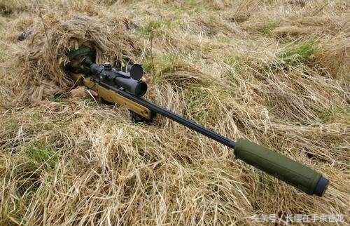 世界最强狙击枪排行榜前五
