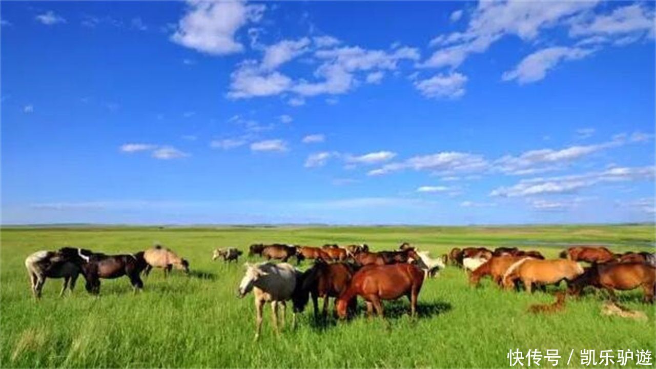 我国陆地面积最大的城市,比一个省还大,你知道