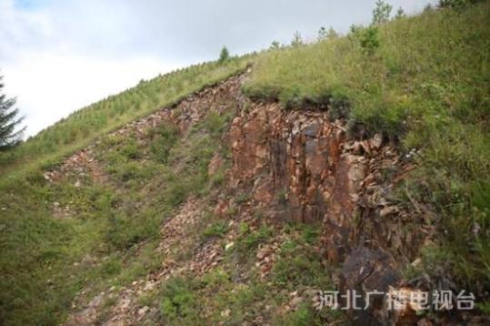塞罕坝:55年，三代人，一个沙漠变绿洲的奇迹