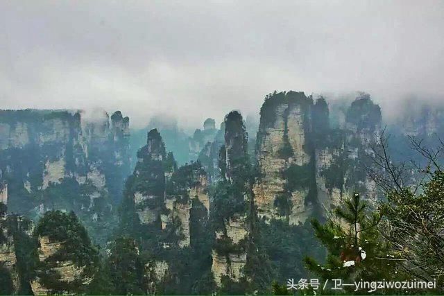 8月去哪旅游最合适?张家界森林公园有哪些精