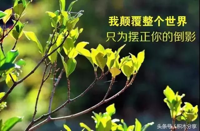 朋友圈正能量人生感悟经典语句心情说说 生活感悟经典句子