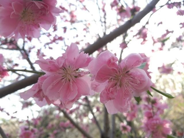 2019考研:专业硕士与学术硕士的11个区别!