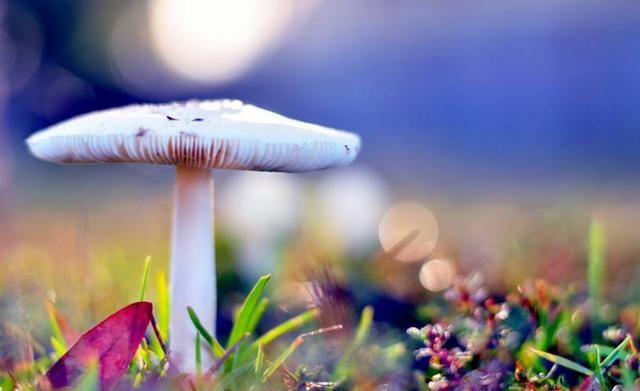 心冷了人更冷,尽量不要与这3个星座冷战