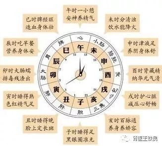 专家科普:中医十二时辰养生对应脏腑