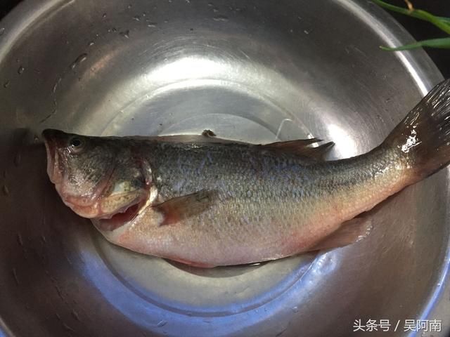 宝宝吃鱼好处多多,清蒸鲈鱼做法简单易学,快做