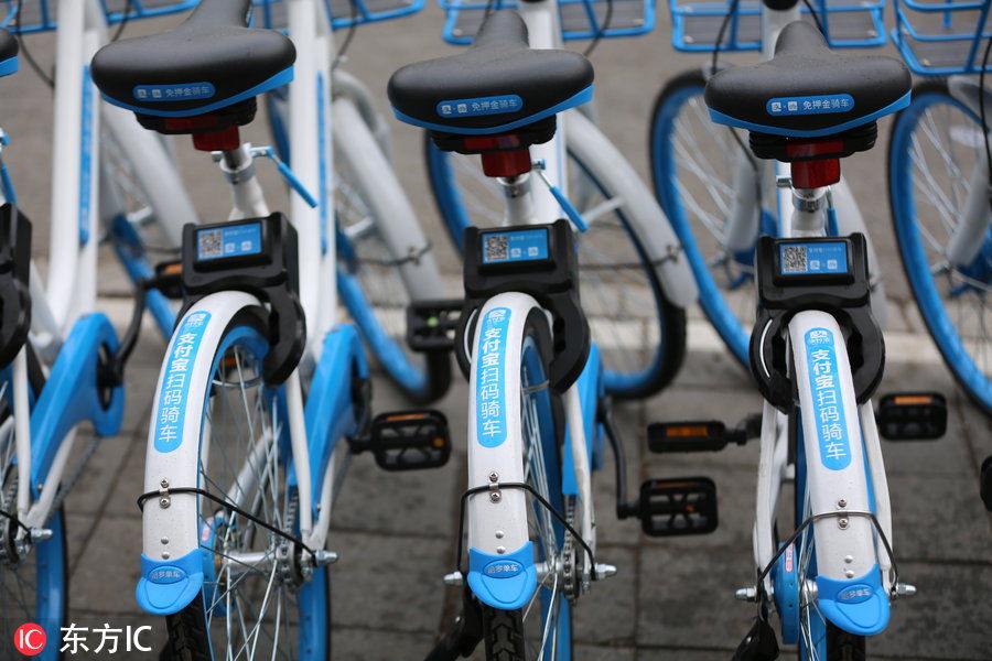 哈罗共享单车大批量投入沈阳 芝麻信用超六百