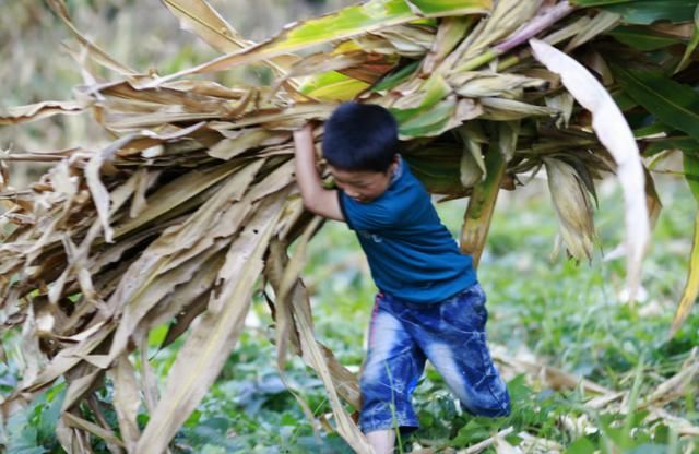 70年代农村农活场景,年轻人不喜欢农村,城市有