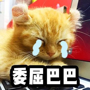 魏璎珞、baby同款懒人编发,一分钟就能学会