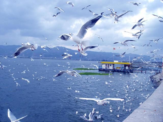 这些中国最宜居的城市排名,去过一半,算你厉害