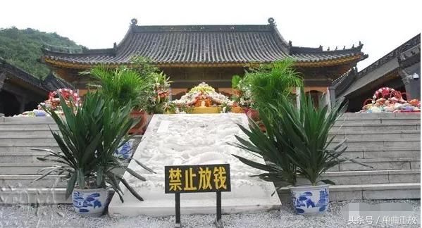 企业申请头条号要钱吗(头条注册企业号都有什么要求)