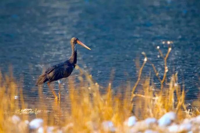 北京的冬天,这些公园最适合带着女朋友去!