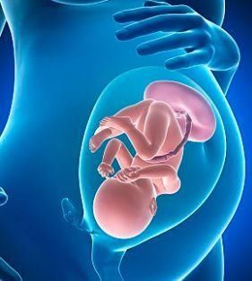 想让胎儿更好地吸收营养,孕妈必须了解这几点