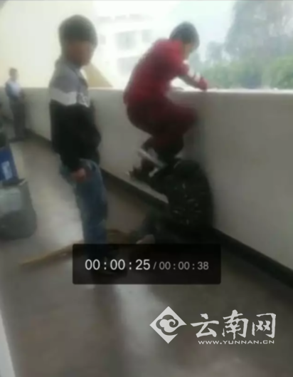 小学生被多名同学轮着暴打踢头 多次下跪求饶