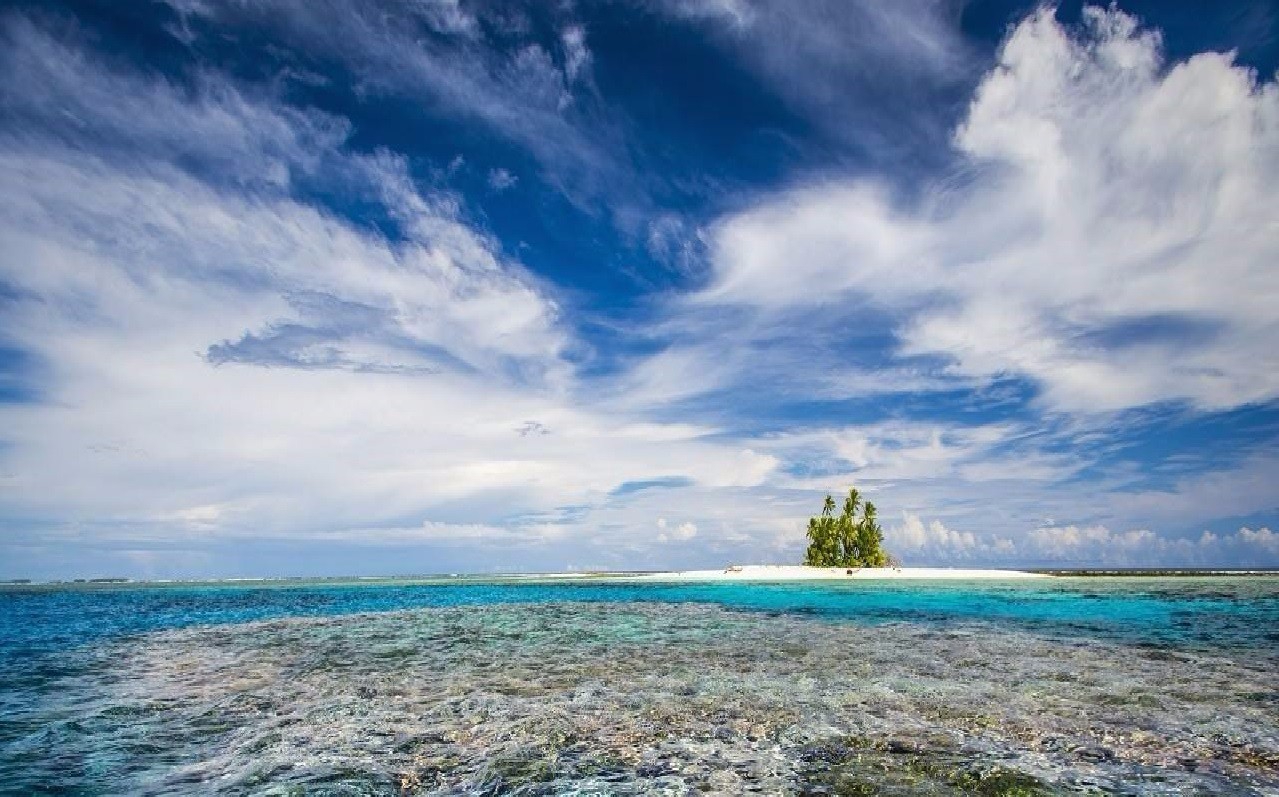 高考艺术类联考、统考、校考的区别