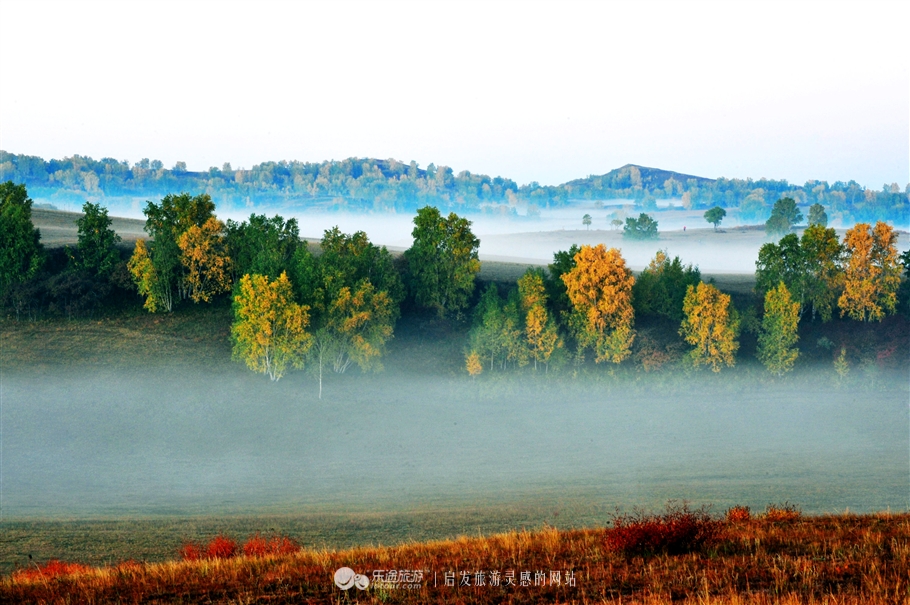旅行|拍不烂写不透的塞罕坝美在哪里?