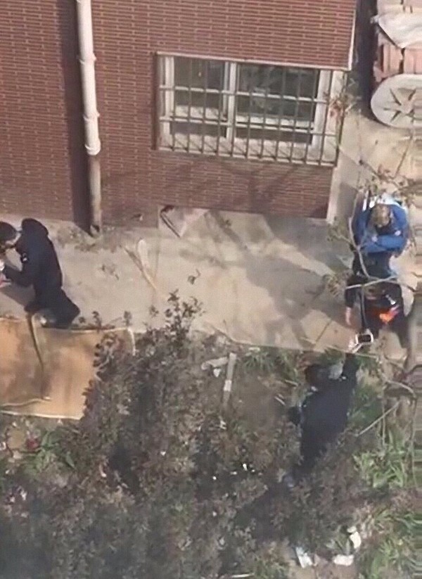 石家庄一女子和女童居民区坠亡 警方:系母女