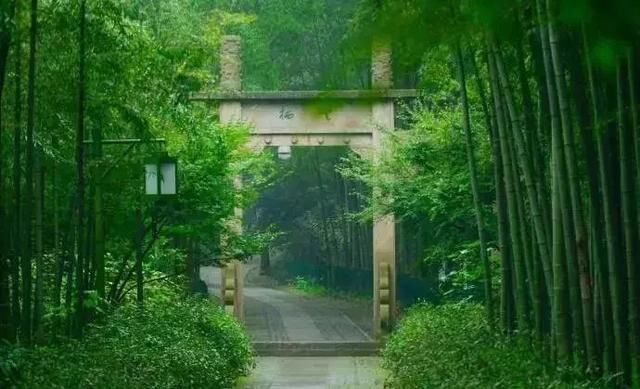 人只有学会低头,方能抬头!(经典好文)