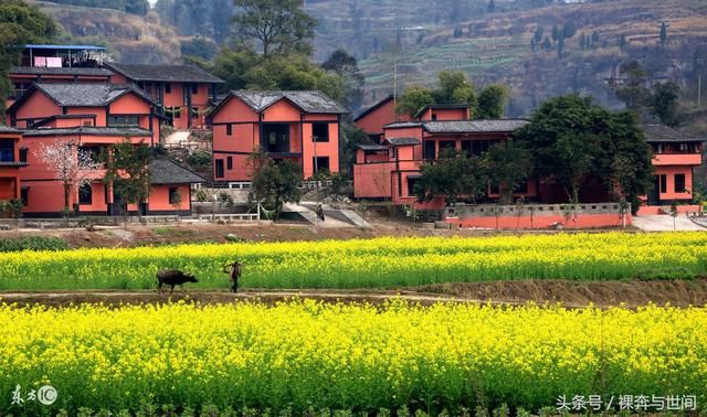 为啥有人因拆迁而富,有人因拆迁而穷?别总发牢