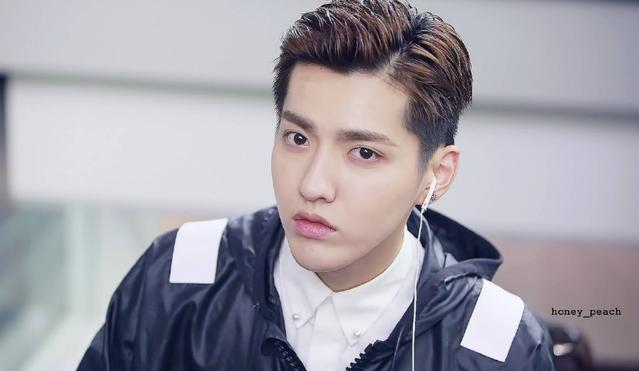 2、吴亦凡
你有 freestyle 吗？每天喊着 freestyle 的吴亦凡是温哥华籍，他的出生地是广东广州，十岁的时候父母离异，她随着母亲的改嫁去到温哥华生活，据说移民后他吃了很多苦，至今仍闭口不谈。