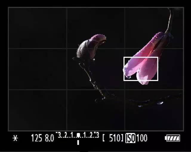 测光总是不正确?4种测光模式、3个测光技巧让