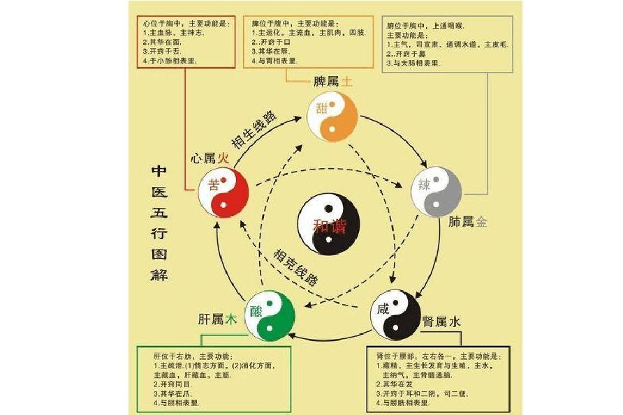 什么样的人与玄学有缘?适合学习八字?