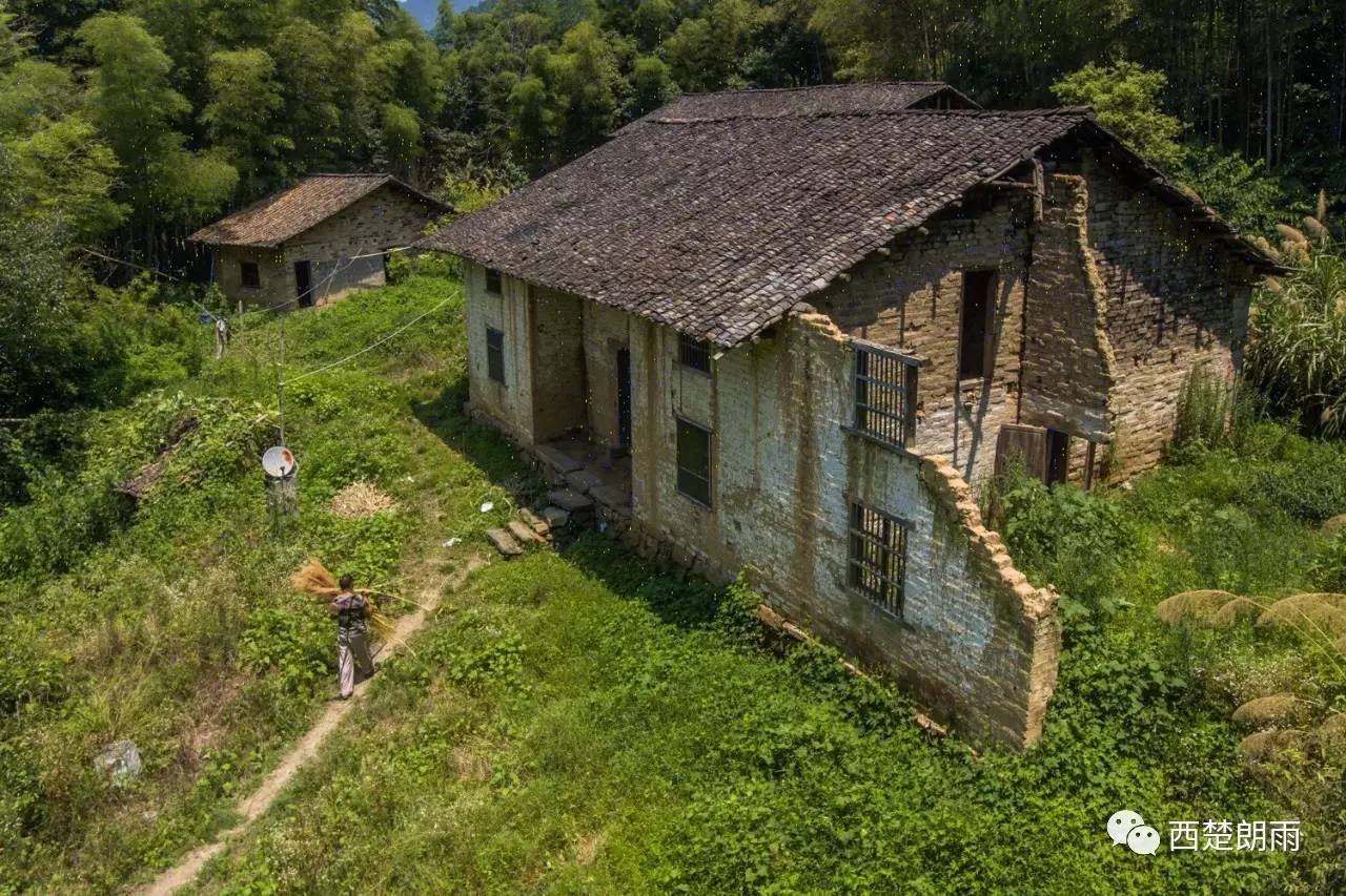 老人独居大山割芒草,攒钱供儿上大学,一个耳光让儿坚定信心! 老人独居大山割芒草,攒钱供儿上大学,一个耳光让儿坚定信心!