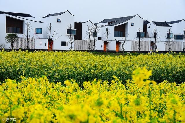 十大白手起家就能创业的小本暴利行业,冷门不