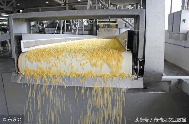 6月5日:玉米副产品止跌企稳,中美谈判或会影响