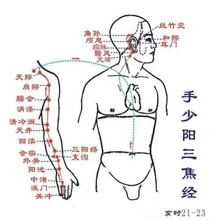 十二经络穴位歌,唱着歌儿背穴位(二)