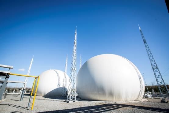 畜禽粪污资源化处理排头兵,解除养殖场内一颗