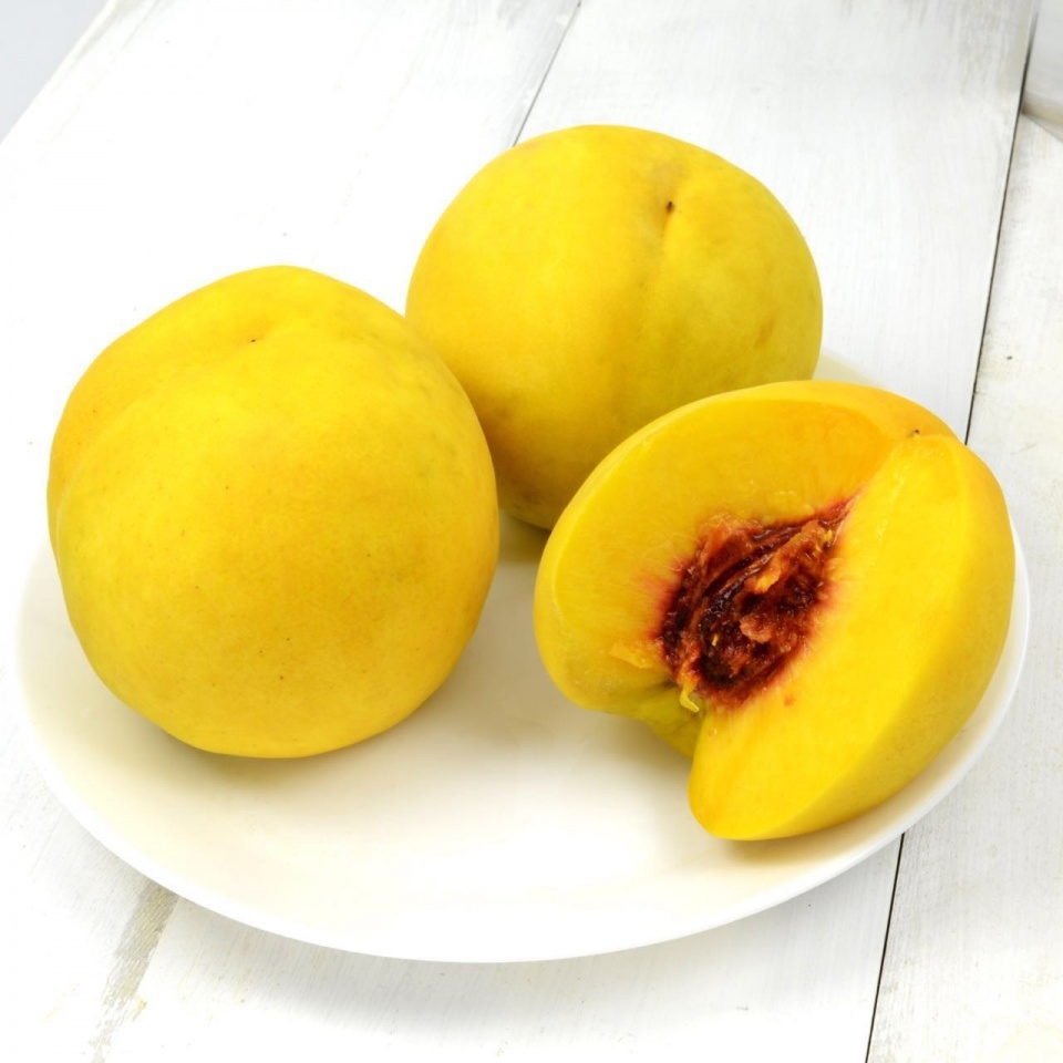 锦绣黄桃的做法(锦绣黄桃的做法窍门)