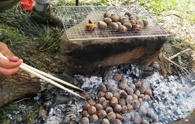 云南人竟然把水果、坚果、蔬菜…都烧着吃?真