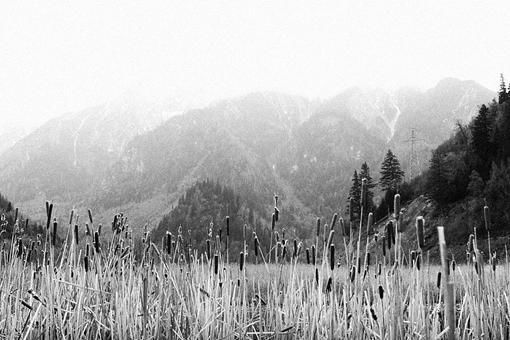 生第三次世界大战么?第三次世界大战参战国会