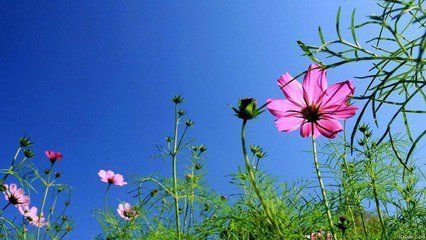 身累,是一种充实;心累,是一种空虚