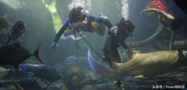 全球首个人造鱼鳃问世,戴上就能像鱼一样,在