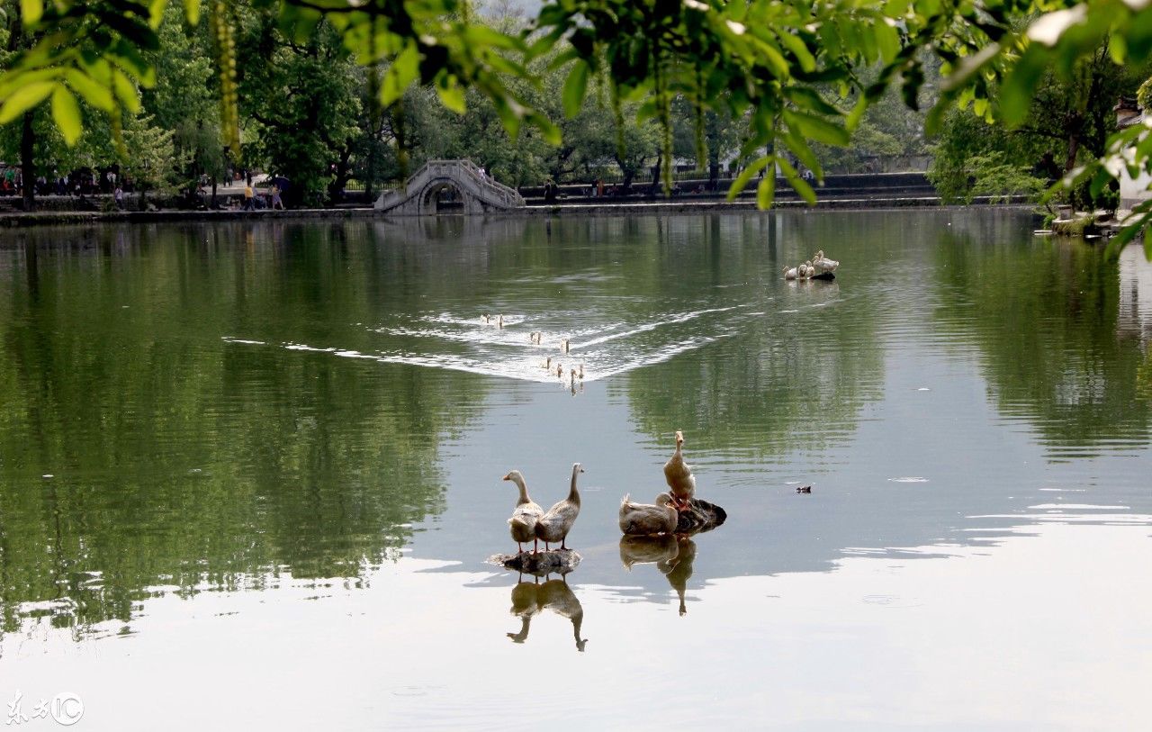 大美中国,带你走进世界文化遗产地安徽宏村南