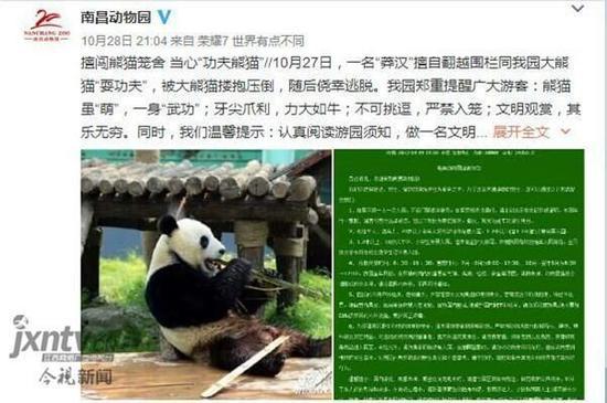 南昌一男子翻越围栏和大熊猫扭打 分分钟被按倒 南昌一男子翻越围栏和大熊猫扭打 分分钟被按倒