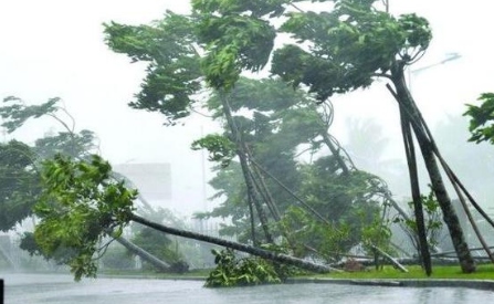 吴太感康新装上市,包装做了什么改变?