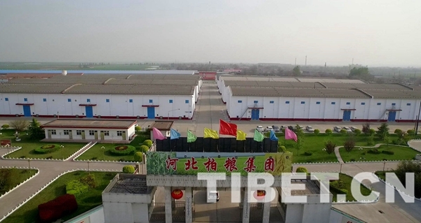 【中国梦•大国工匠篇】尚金锁:为“粮库”保驾护航40余载只为让百姓吃得好吃得安 【中国梦•大国工匠篇】尚金锁:为“粮库”保驾护航40余载只为让百姓吃得好吃得安