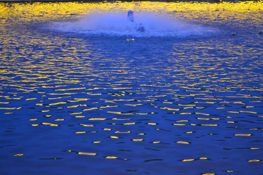 快手直播堃茂夜钓 中国摄影新闻通讯社副总编