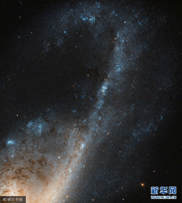 4月14日讯，美国宇航局（NASA）网站消息，哈勃望远镜捕捉了星暴星系NGC 4536的精美细节，如同太空之中的“银月弯钩”。这是一种恒星“爆发式”形成的星系，以极快的速度消耗着供应恒星形成所需的气体。