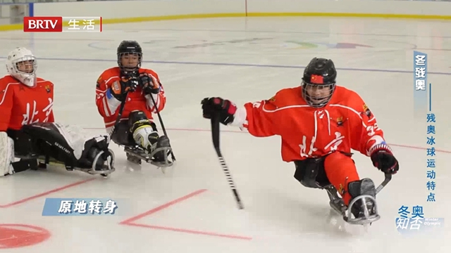 《冬奥知否》冬残奥——残奥冰球运动特点 《冬奥知否》冬残奥——残奥冰球运动特点